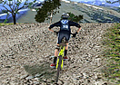 3d Mountain bike